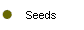  Seeds 