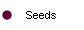  Seeds 